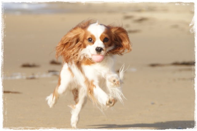 20110905_8.jpg