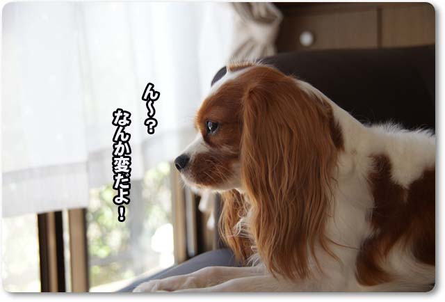 20110913_1.jpg