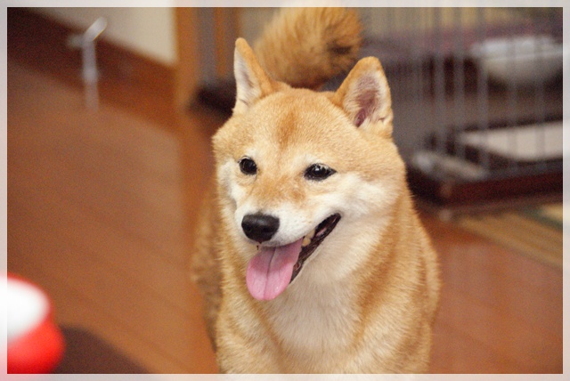 20110916_102.jpg