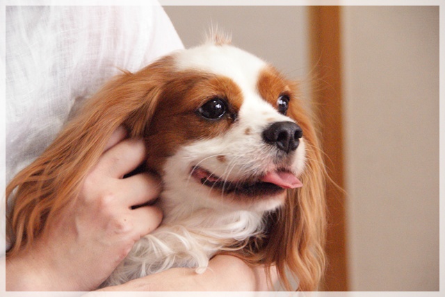20110916_11.jpg