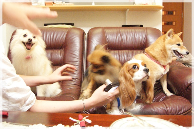 20110916_124.jpg
