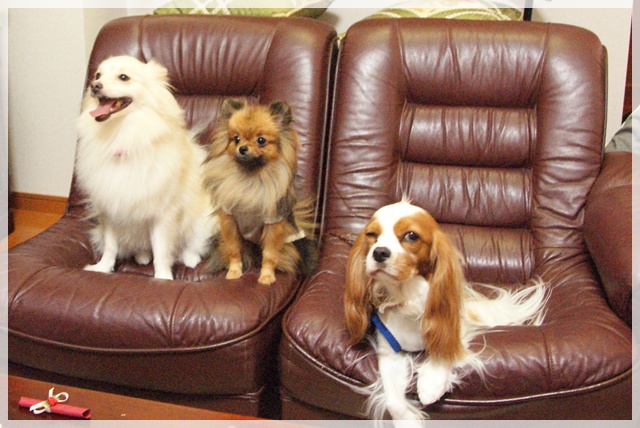 20110916_126.jpg