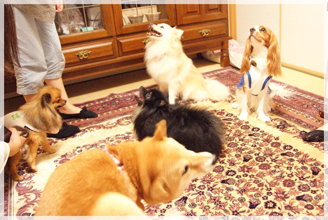20110916_144.jpg