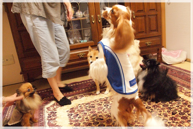 20110916_153.jpg