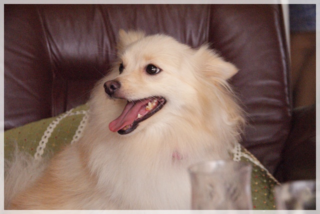 20110916_35.jpg