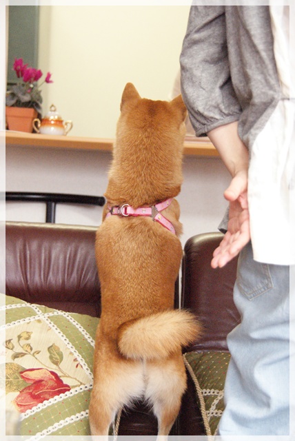 20110916_51.jpg