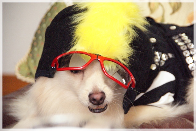 20110916_75.jpg