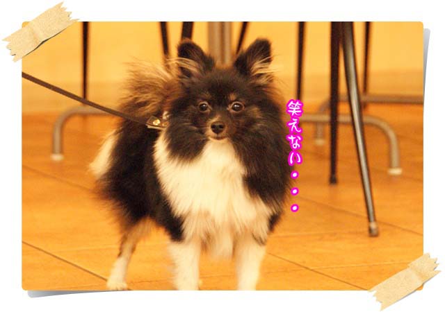 20111008_20.jpg