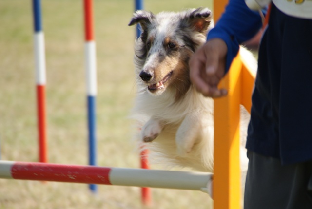 20111010_363.jpg
