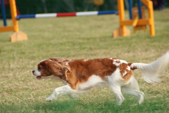 20111010_55.jpg