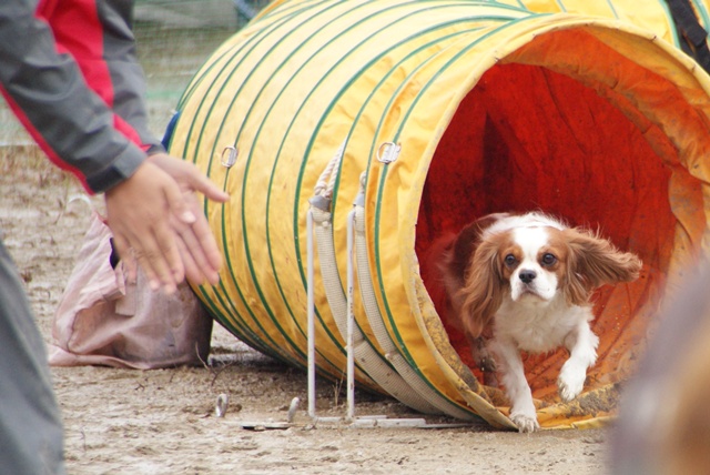 20111023_40.jpg