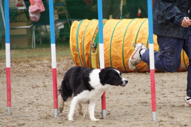 20111023_73.jpg