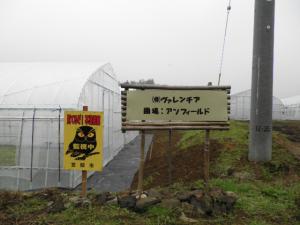 逕サ蜒・+031_convert_20111110191840