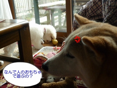 2・26・3