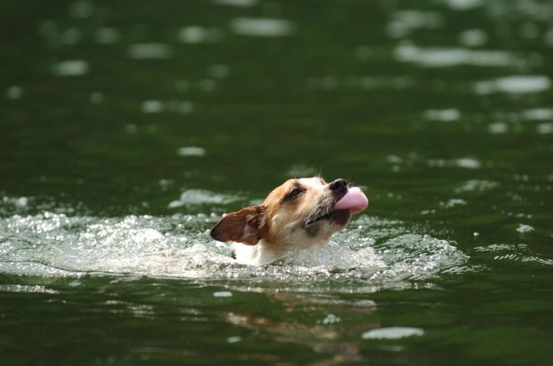 20110824blog10.jpg