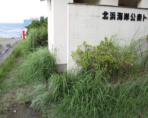 ブログ IMG_3387