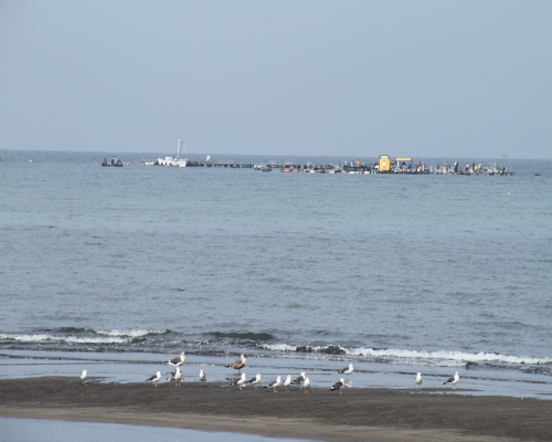 IMG_5141.jpg