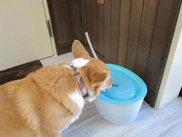 20111111-02.jpg