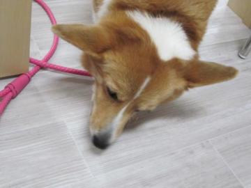 20111111-08.jpg