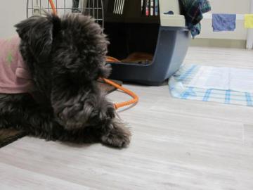 20111111-09.jpg