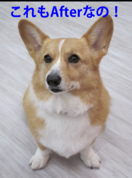 20111118-01.png