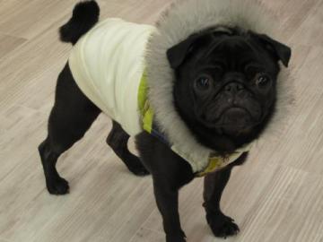 20111127-03.jpg