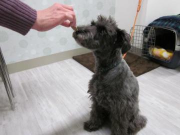 20111207-07.jpg