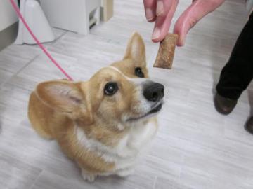 20111207-08.jpg
