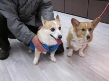 20111210-02.jpg