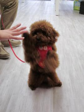 20111210-04.jpg