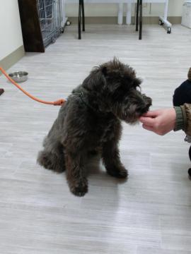 20111214-05.jpg