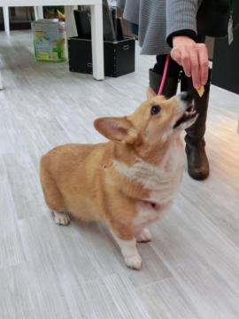 20111214-06.jpg