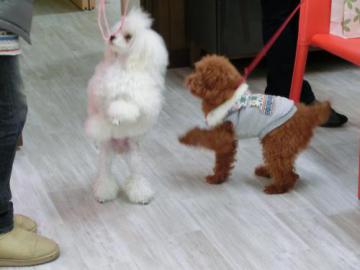 20111216-12.jpg