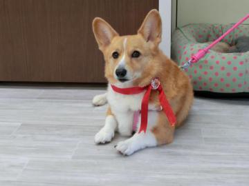 20111216-14.jpg