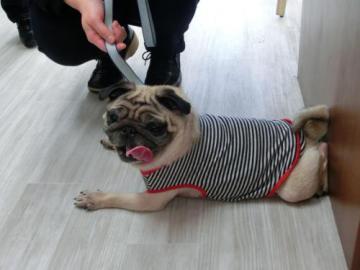 20111224-05.jpg