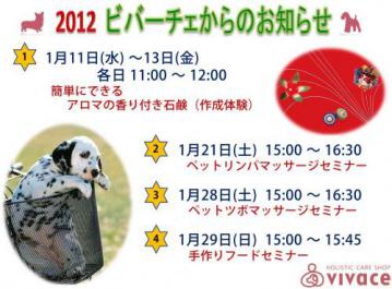 20111228-01.jpg