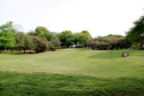 春の岩本山公園