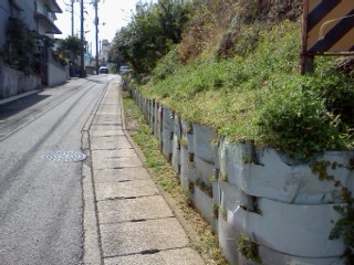 nogawashuuhenn-annkyo3.jpg