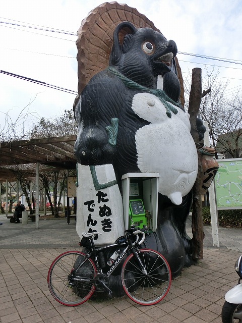 CIMG0703.jpg