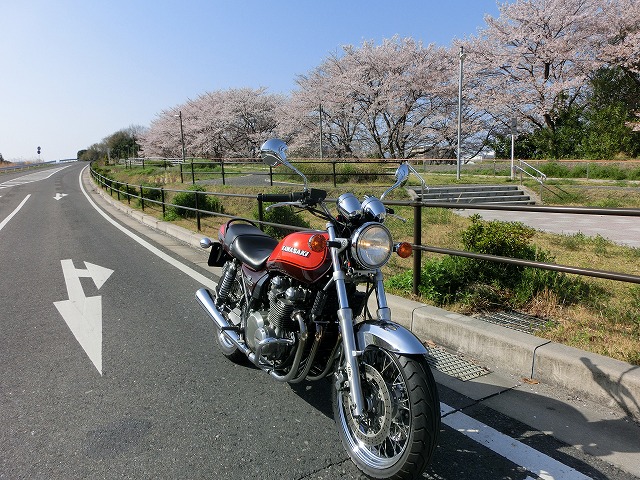 CIMG1126.jpg