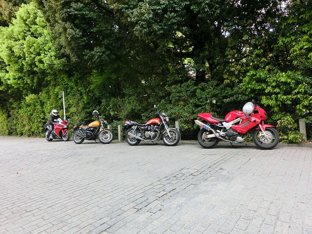 CIMG1715.jpg