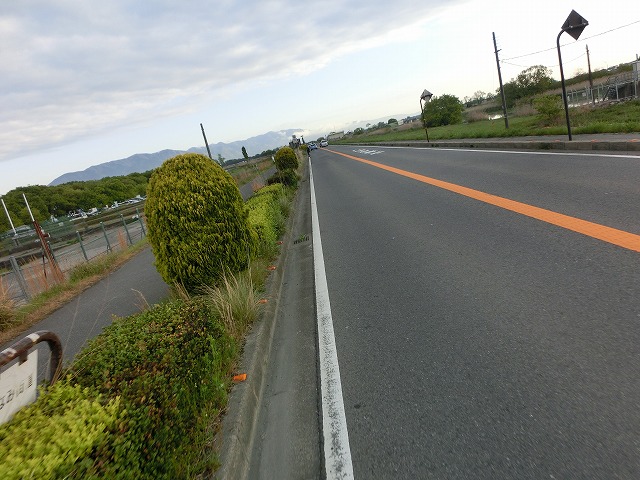 CIMG2333.jpg