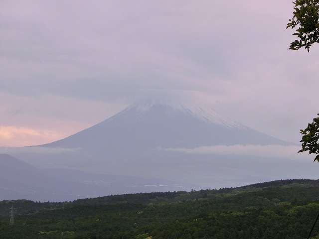 CIMG3145.jpg