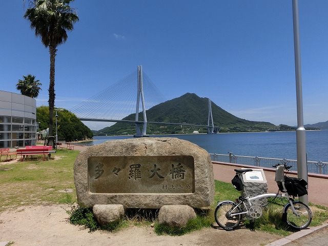 CIMG4116.jpg