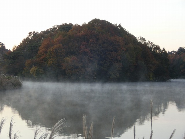 CIMG7388.jpg