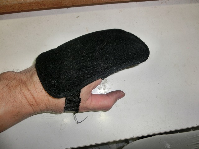 CIMG7504.jpg