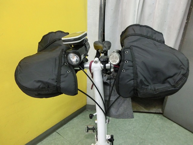 CIMG7510.jpg