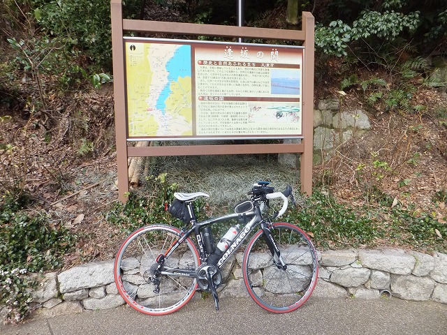 DSCF7339.jpg