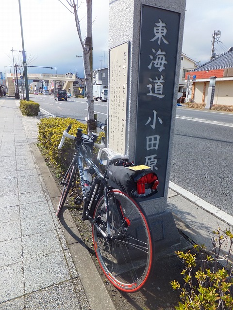 DSCF7412.jpg
