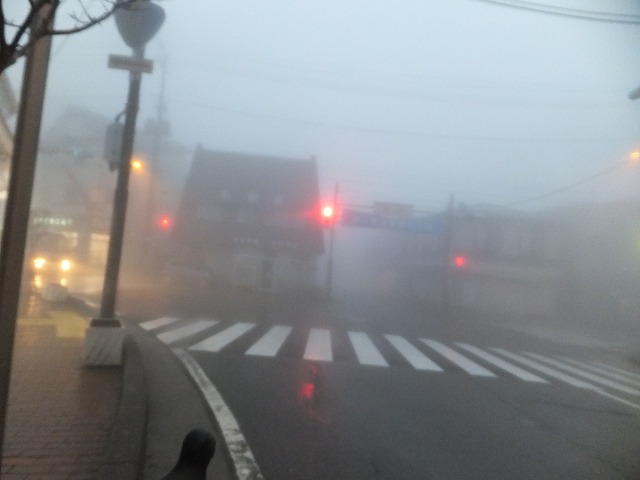 DSCF7428.jpg